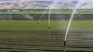 tubo in PVC per il drenaggio agricolo